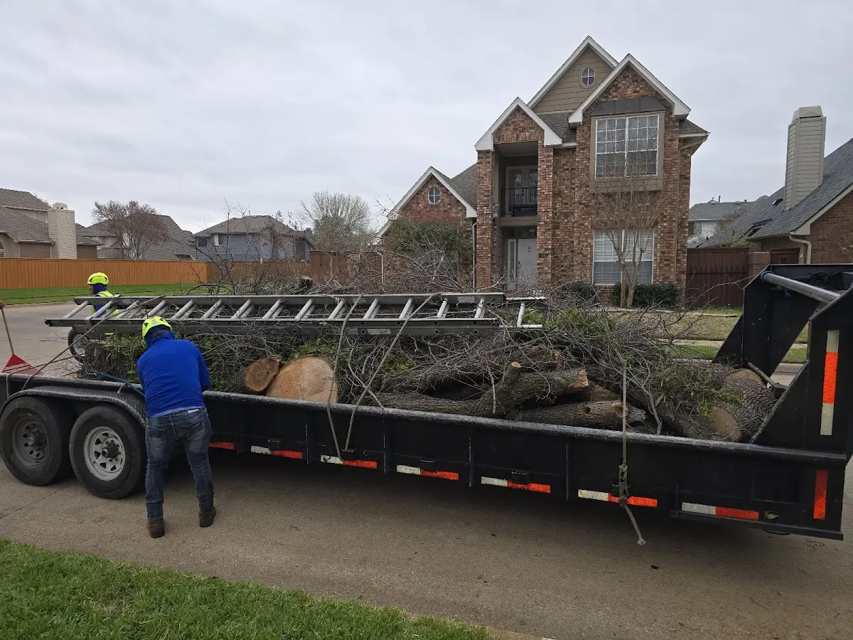 Expert Tree Fertilization with proper safety equipment in Worthington